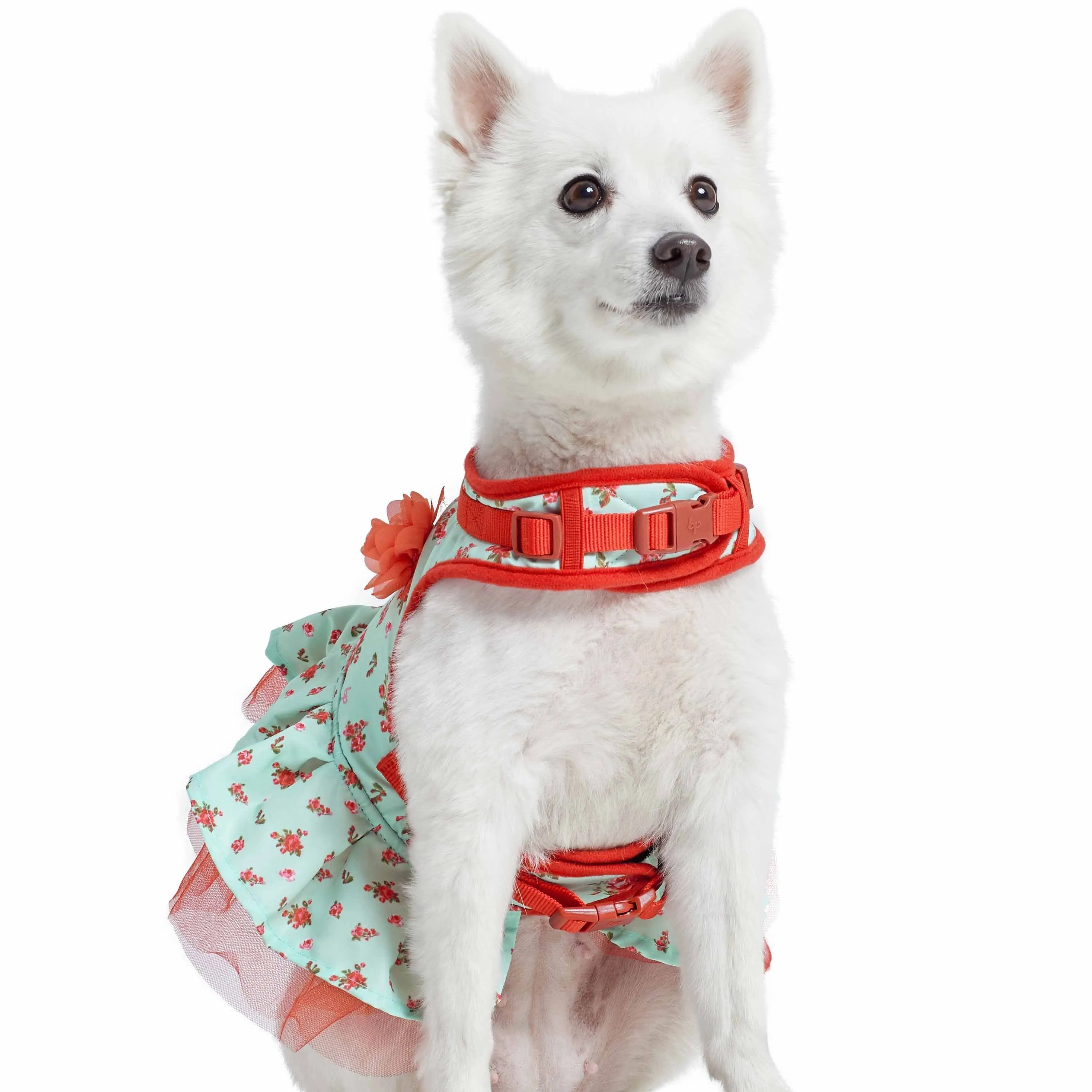 Made Well Floral Dog  Dress Harness