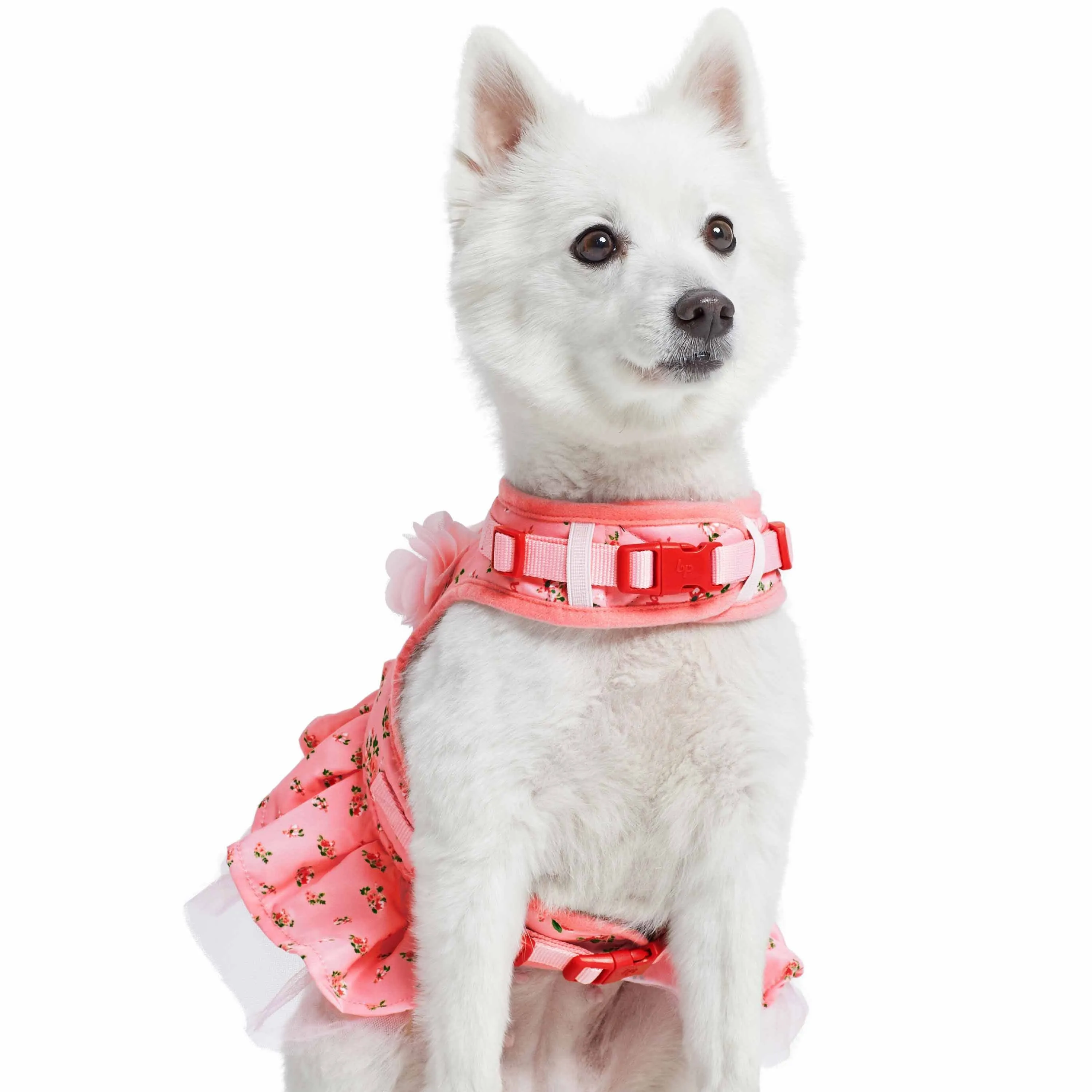 Made Well Floral Dog  Dress Harness