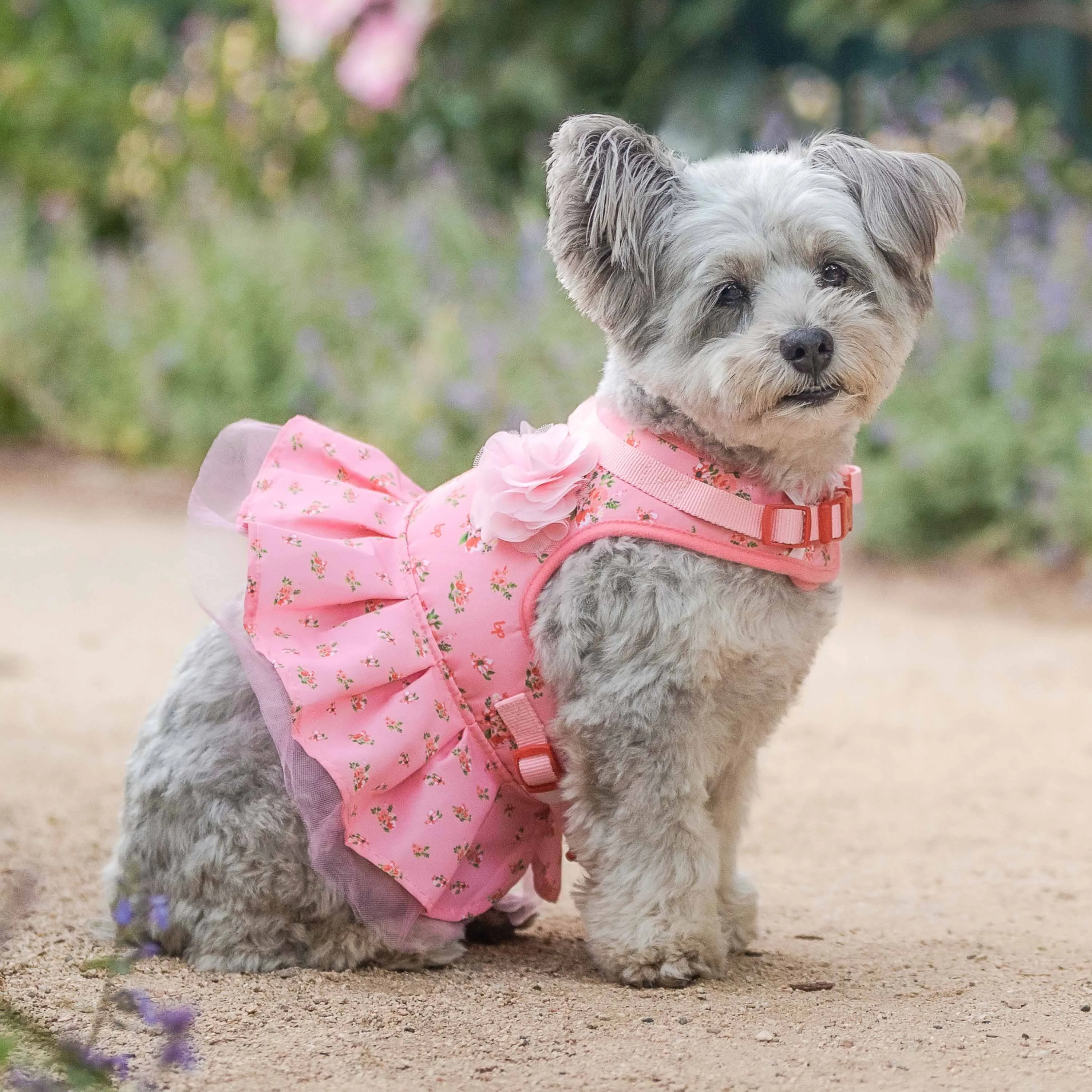Made Well Floral Dog  Dress Harness